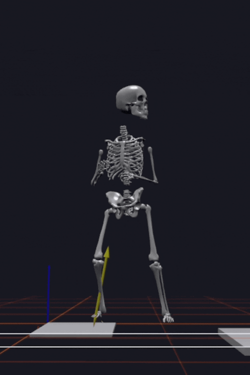 3D biomechanical skeleton motion capture of a pitcher's delivery